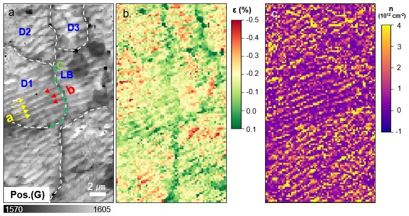 구리 박막 위에 합성된 그래핀의 라만 피크(G밴드) 이동 분포도에 대한 이미지(a), 동일 영역의 그래핀 응력 분포(b), 도핑 분포도에 대한 이미지(c).(KBSI 제공)/뉴스1