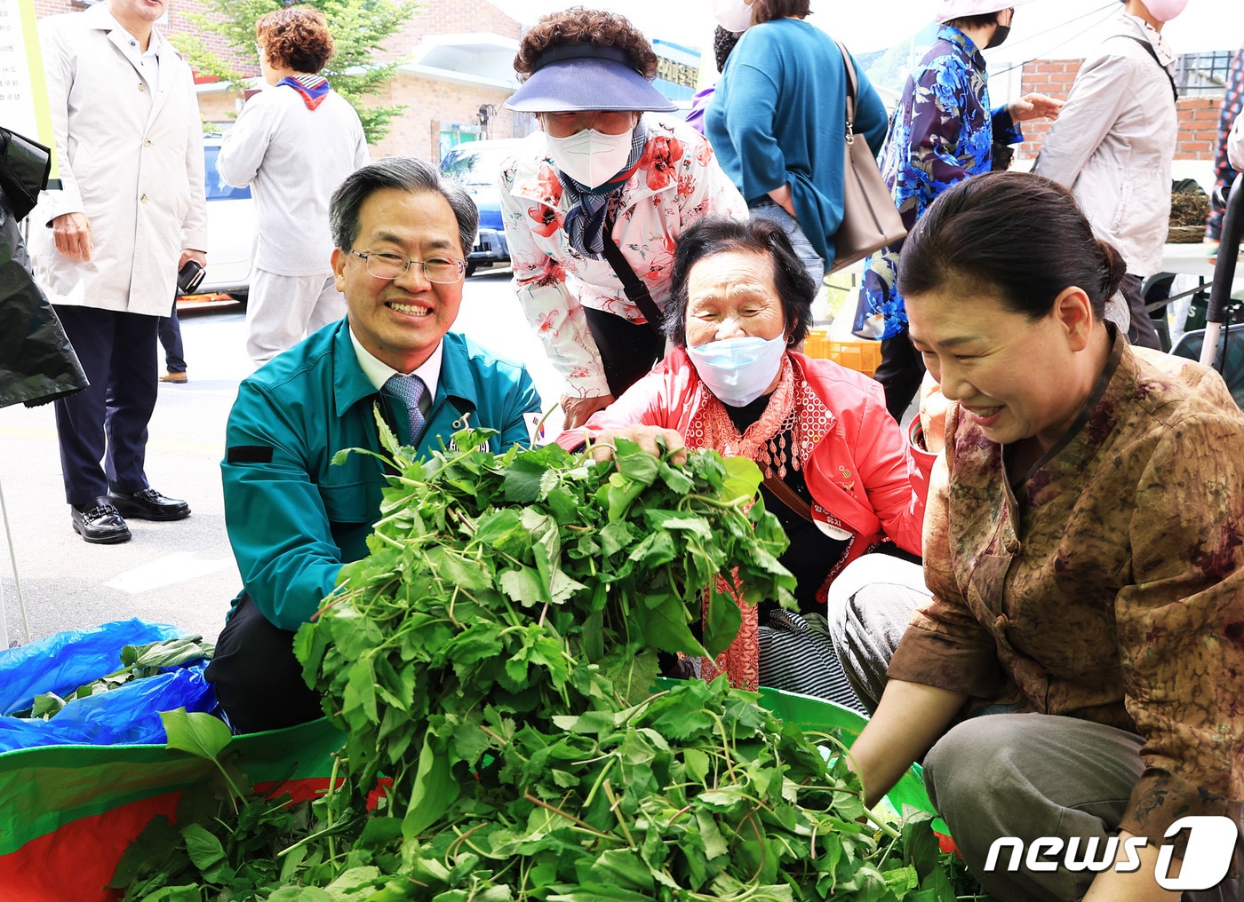 오도창 영양군수가 산나물을 살펴보고 있다. ⓒ News1 김대벽기자