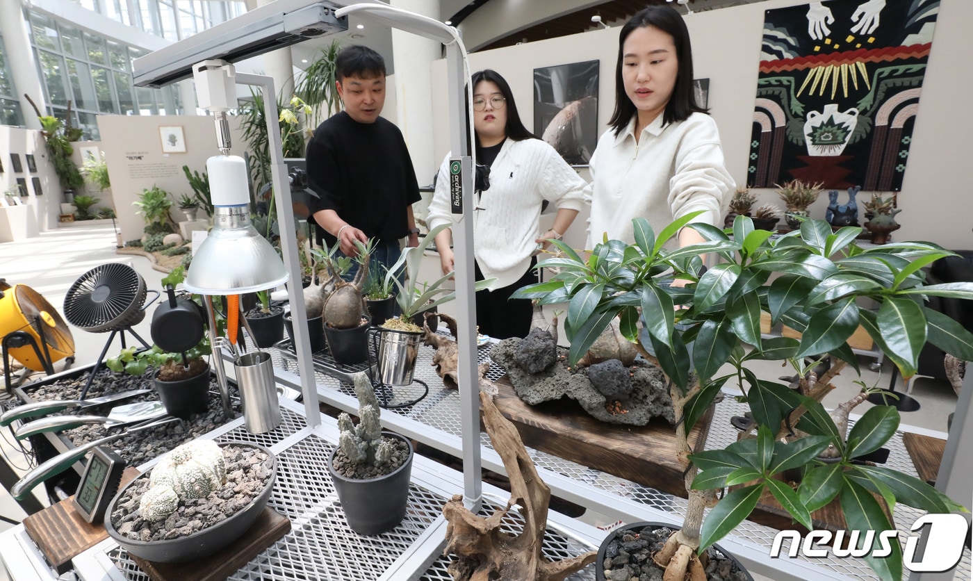  세종시 국립세종수목원에서 진행중인 반려식물 기획전시 '넌 어느 별에서 왔니?'를 찾은 시민들이 독특한 모양의 괴근식물들을 관람하고 있다.  (사진은 기사 내용과 무관함) / 뉴스1 ⓒ News1 2024.4.18 ⓒ 뉴스1 김기남 기자