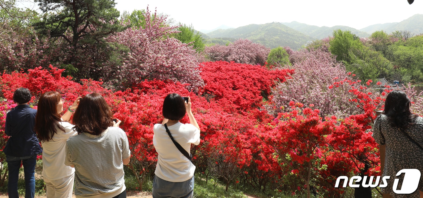 18일 전북자치도 전주시 완산공원 꽃동산을 찾은 상춘객들이 꽃구경을 하며 봄을 만끽하고 있다. 2024.4.18/뉴스1 ⓒ News1 유경석 기자