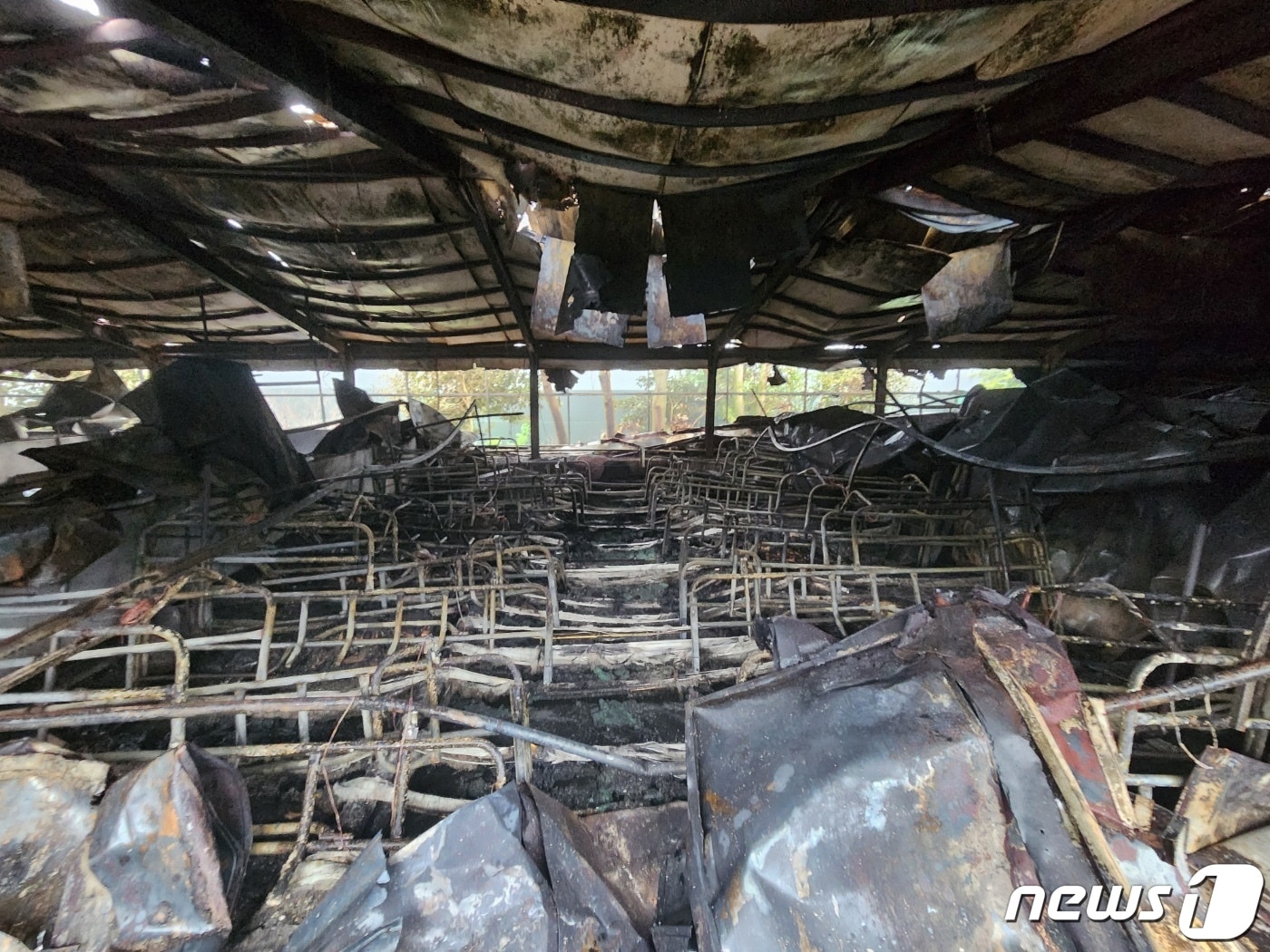 화재가 발생한 제주시 한림읍 금악리의 한 양돈장.(제주특별자치도 소방안전본부 제공)