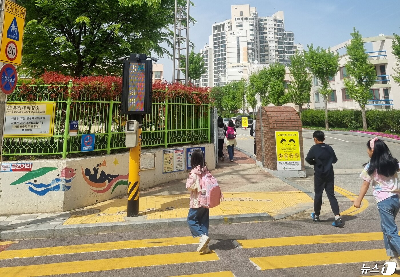 광주 서구 AI안전신호등.(광주 서구 제공)2024.4.23/뉴스1