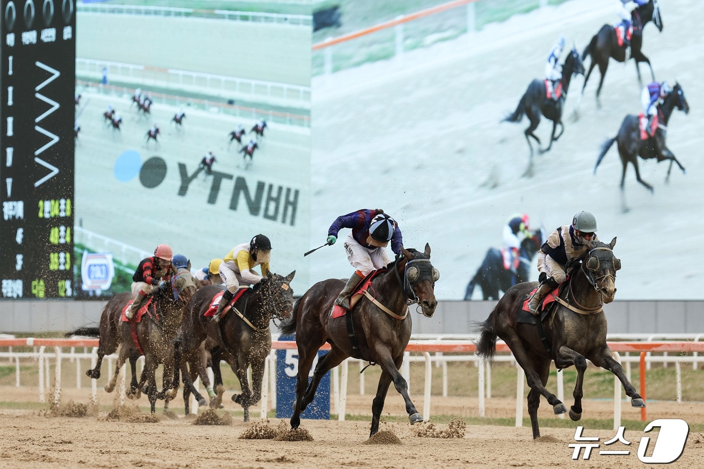 YTN배 우승한 글로벌히트와 김혜선기수 결승선 통과 장면&#40;렛츠런파크 부산경남 제공&#41;