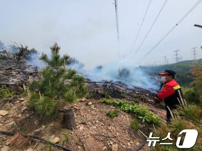 충남 당진 산불 현장&#40;산림청 제공&#41;/뉴스1