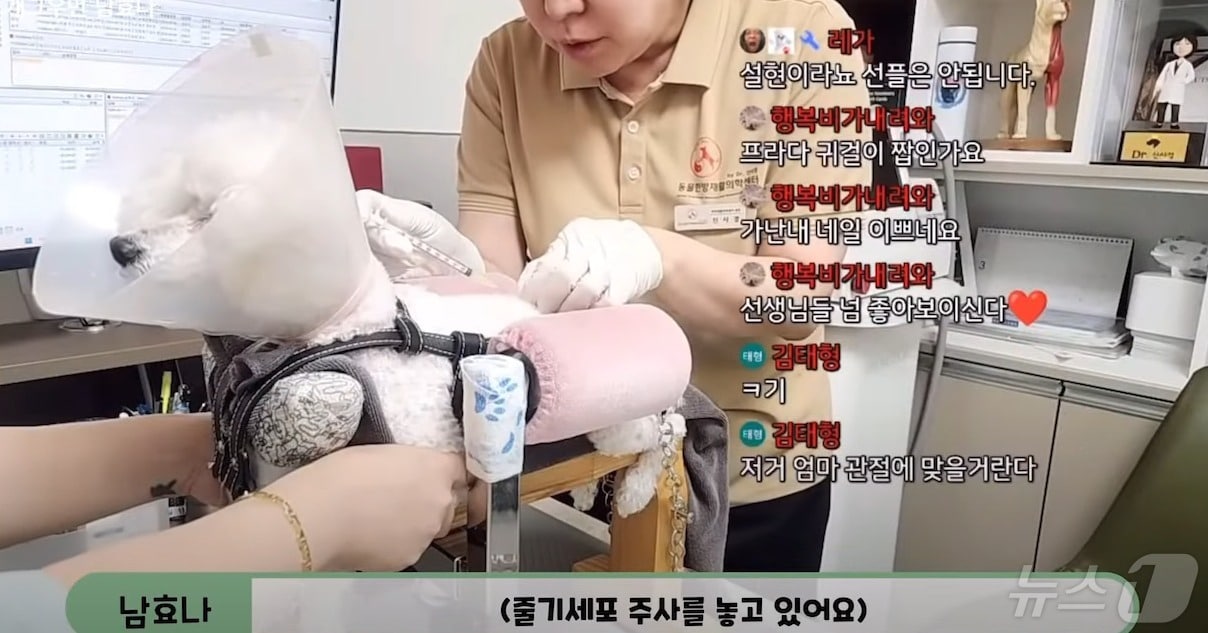 개그우먼 남효나 인스타그램 갈무리 ⓒ 뉴스1