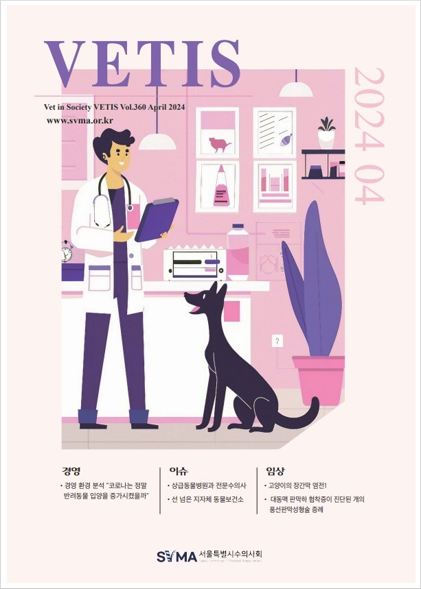 동물병원서 고양이 장간막 염전 치료 어떻게…베티스 4월호 내용은 - 뉴스1