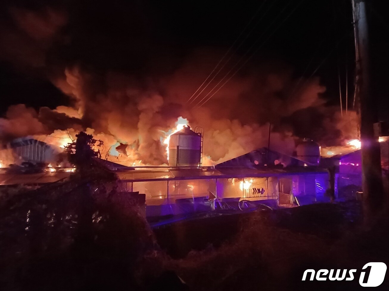 4일 오전 1시 42분쯤 충북 괴산군 사리면 한 영농조합이 운영하는 축사에서 불이 나 8억4700여 만 원의 재산 피해가 났다.(괴산소방서 제공)/뉴스1