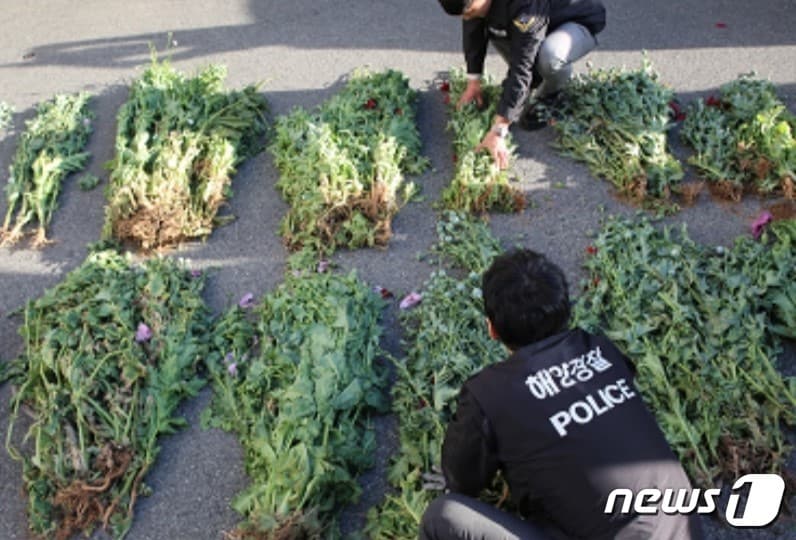 부안해경 단속현장 자료사진(부안해경 제공)2024.4.4/뉴스1 