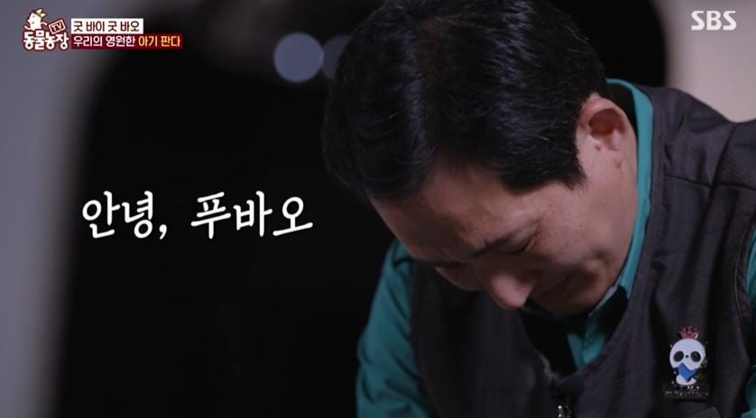  (SBS 'TV 동물농장')