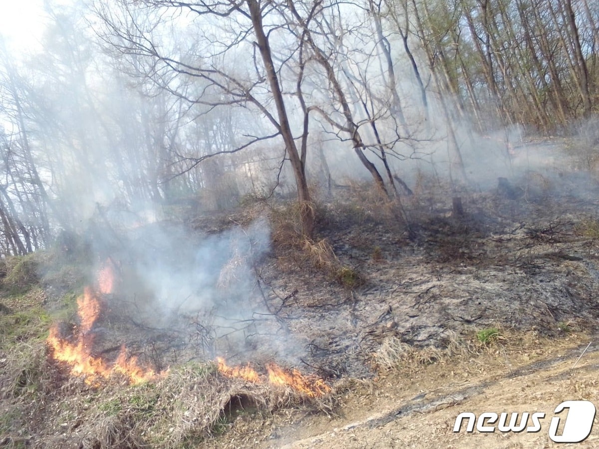 7일 오후 2시 37분쯤 충북 괴산군 괴산읍 소재 한 야산에서 불이 났다. &#40;산림청 제공&#41;/뉴스1