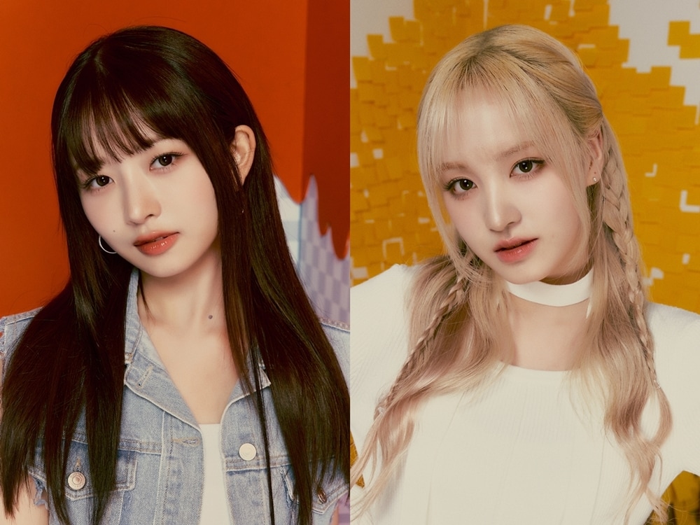 아이브 레이와 리즈(스타쉽엔터테인먼트 제공)