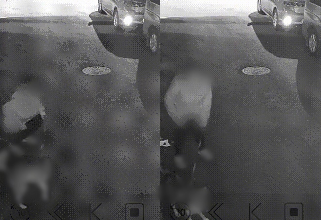 (보배드림 갈무리)