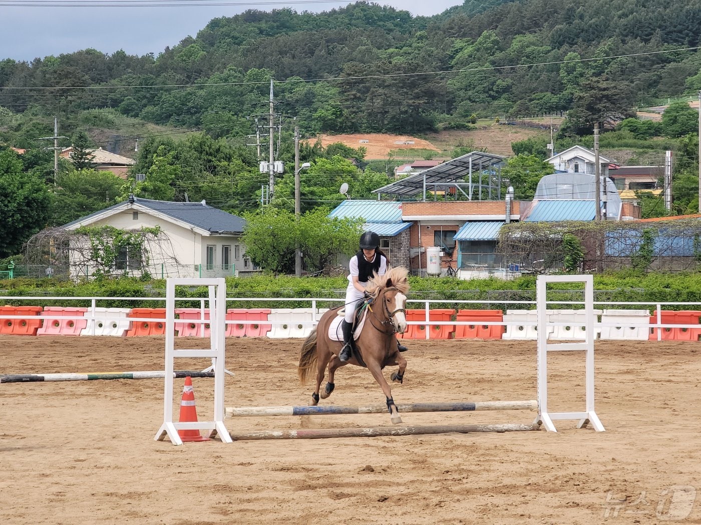 전북자치도 진안군수배 종목별 대회가 오는 25일까지 열린다. 사진은 승마경기.&#40;진안군제공&#41;2024.5.13/뉴스1