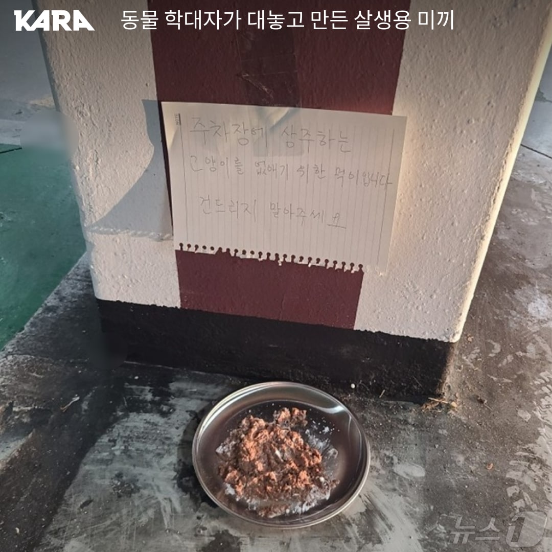 전남 광양의 한 아파트 단지에서 고양이 사료에 살생용 미끼를 섞었다는 글이 게시돼 동물행동권 카라에서 관련 제보글 접수받고 있다.(동물행동권 카라 제공)2024.5.13/뉴스1