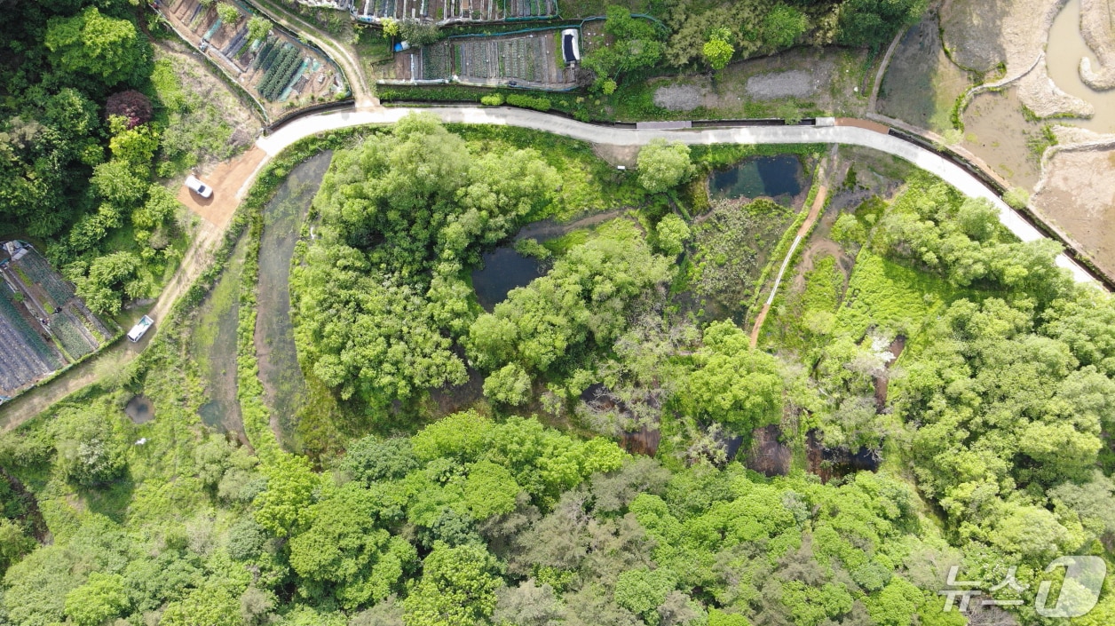 람사르습지에 등록된 무등산 평두메습지 전경.&#40;광주시 제공&#41;2024.5.13/뉴스1 ⓒ News1 박준배 기자