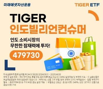 'TIGER 인도빌리언컨슈머 ETF'