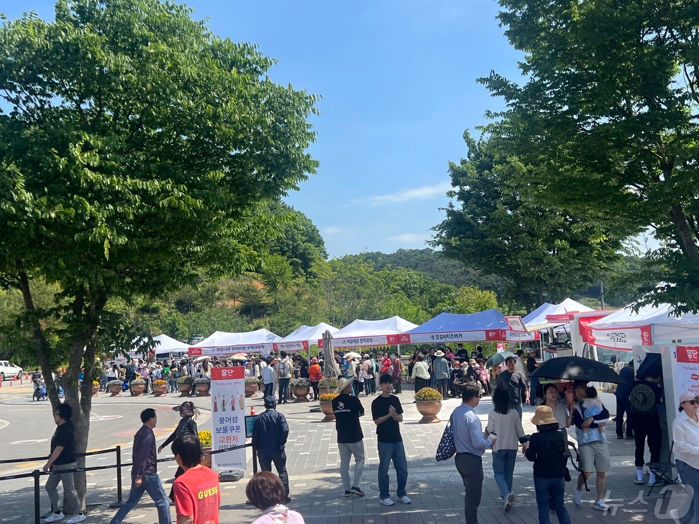 15일 전북자치도 임실지역 청년들이 만든 청년상단협동조합은 옥정호에서 로컬문화 콘텐츠인 홍단프리마켓을 개최했다.(임실군제공)2024.5.15/뉴스1