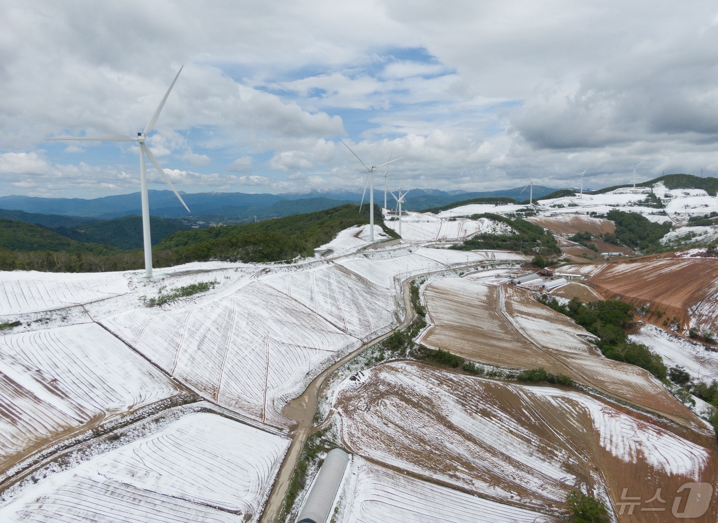 강릉 안반데기에 내린 눈.(뉴스1 DB) ⓒ News1 이재명 기자