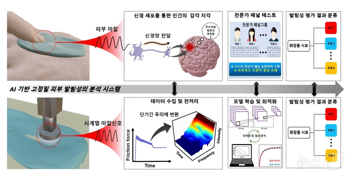 전문가 관능 평가에 따른 발림성 분석 과정(위), AI 기반 고정밀 피부 발림성 분석 시스템에 따른 발림성 분석 과정(아래)(ETRI 제공)/뉴스1