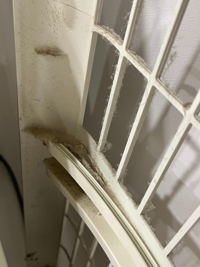 온라인 커뮤니티 '보배드림'