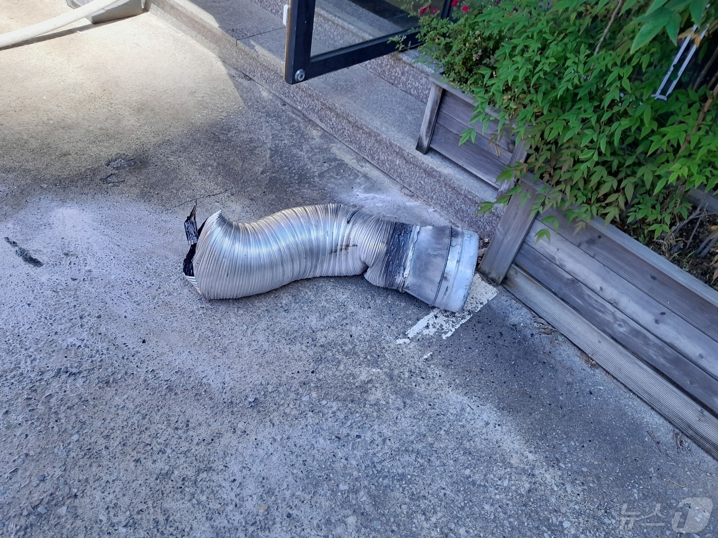 16일 오전 10시2분쯤 대구 달서구 장기동의 한 커피숍에서 불이 나 주민 1명이 다쳤다. 사진은 불화점으로 추정되는 커피 로스터기 연통. (대구소방본부 제공) 2024.5.16/뉴스1