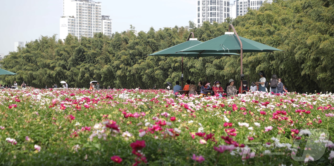  봄꽃들이 만개해 정원을 알록달록 물들이고 있는 울산 태화강국가정원. 2024.5.17/뉴스1 ⓒ News1 김지혜 기자