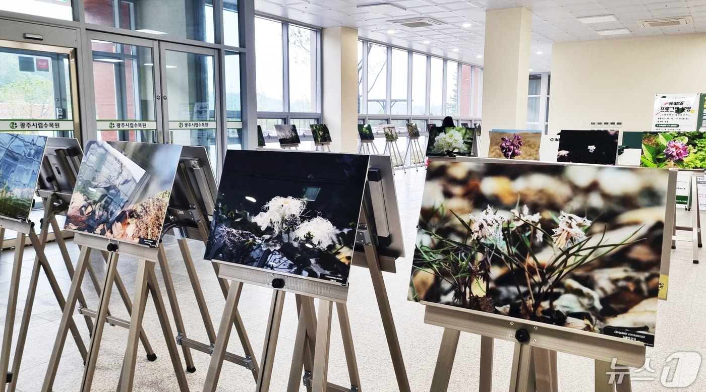 광주시립수목원 야생화 전시회.(광주시 제공)/뉴스1 