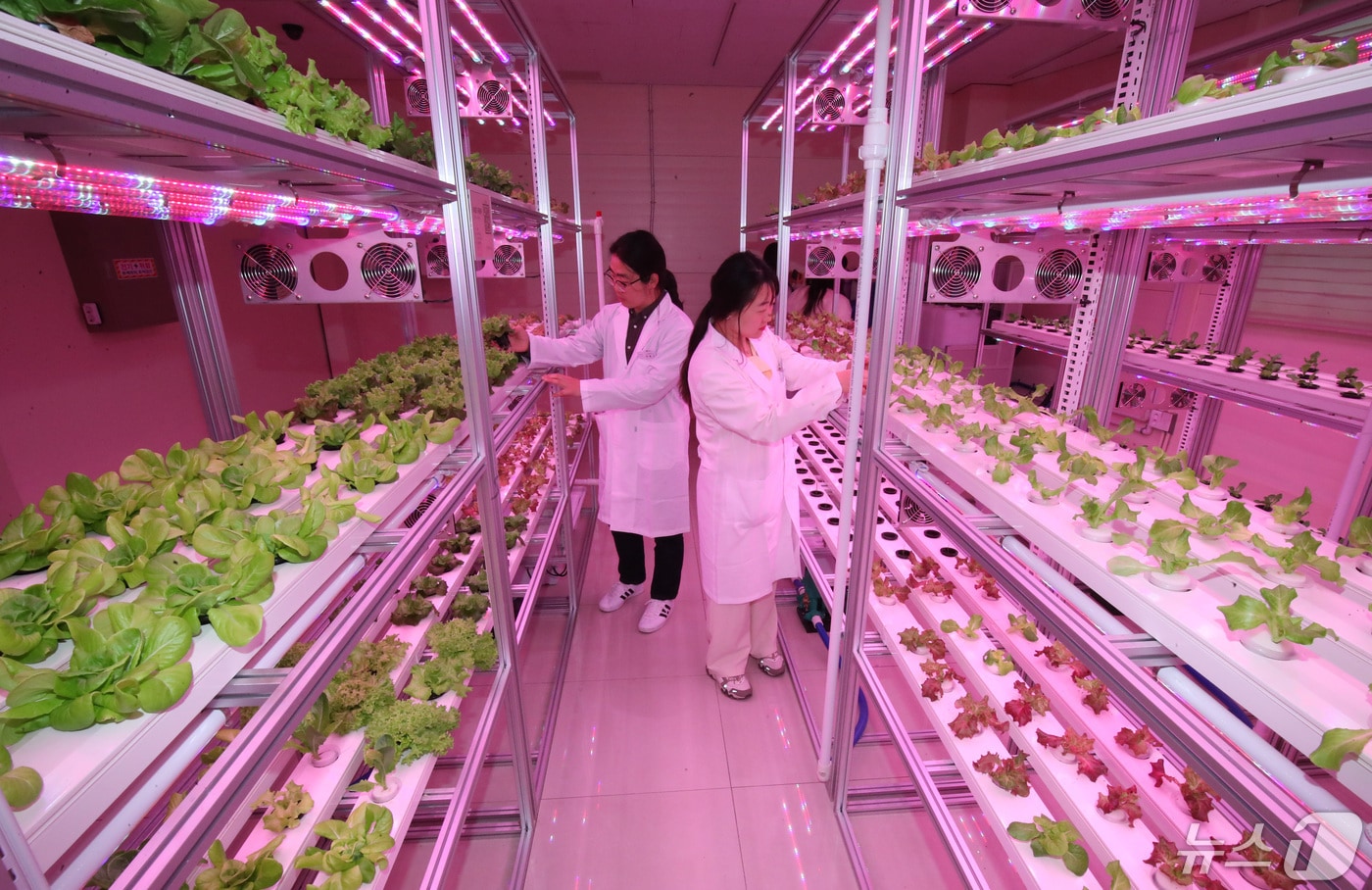 &#40;사진은 기사 내용과 무관함&#41; / 뉴스1 ⓒ News1