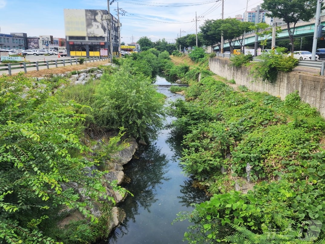 기흥호수로 유입되는 신갈천의 지류인 완기천 모습.(용인시 제공)