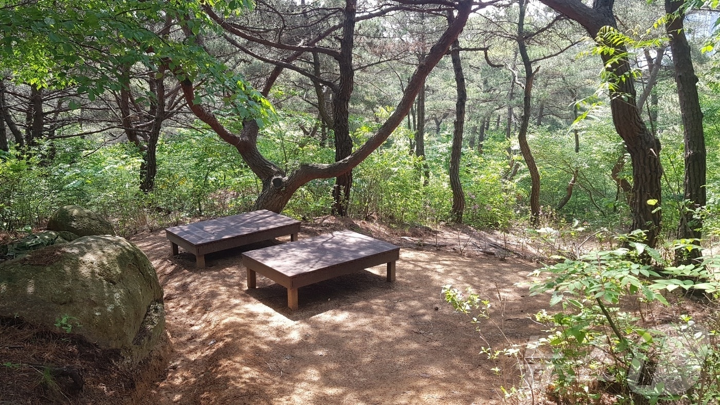 '녹수초~안산사거리철탑' 구간에 염포산 테마숲길 조성 2차 사업을 완료한 모습.(울산동구청제공)