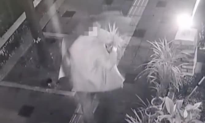 ( TBC '사건반장')