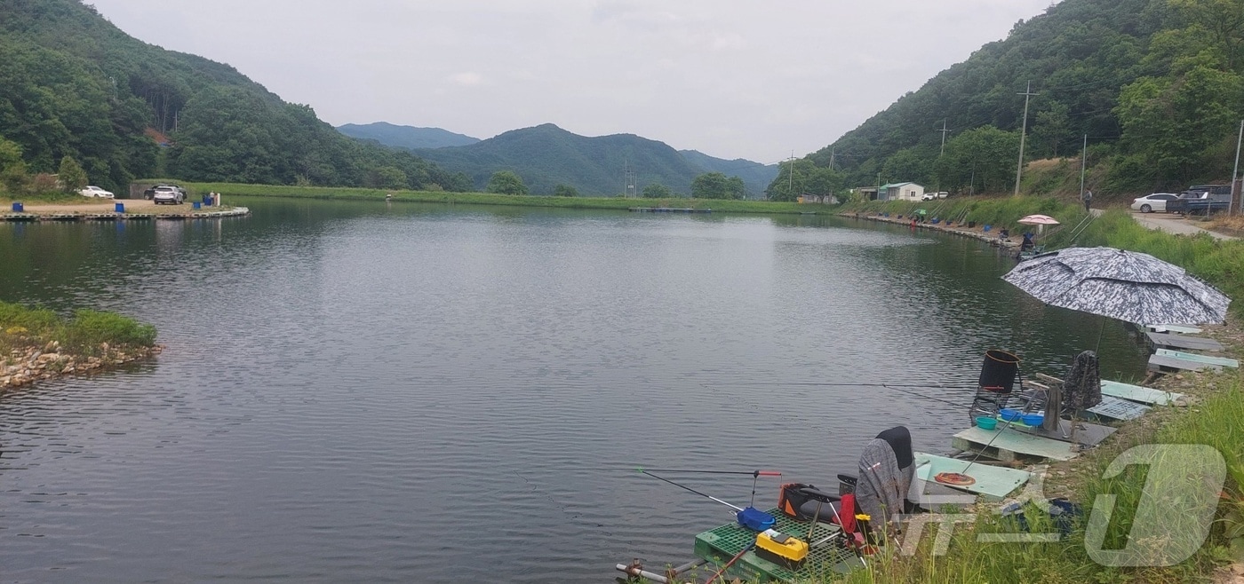 보은군 회인면 오동낚시터  &#40;보은군 제공&#41; /뉴스1