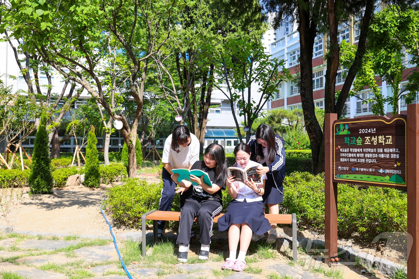 대구 중구 남산동 경북여고에 조성된 &#39;학교숲&#39;에서 학생들이 휴식을 취하고 있다. &#40;대구 중구 제공&#41;/뉴스1.