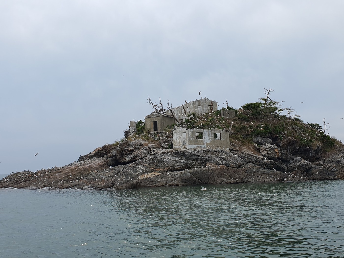  서천 노루섬. (서천군 제공)/뉴스1