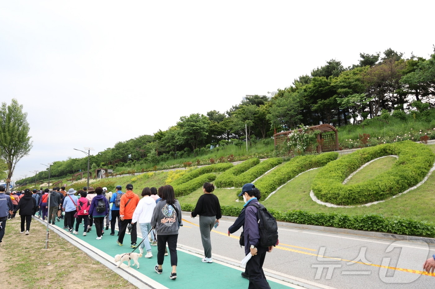  (서울 구로구청 제공) 