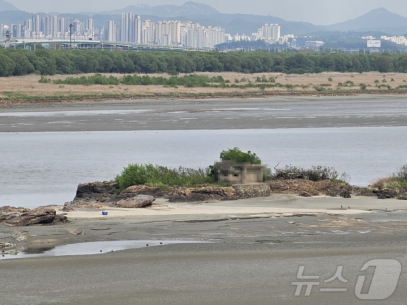 경기 김포시 걸포동에 위치한 '독도'(김포시 제공)/뉴스1