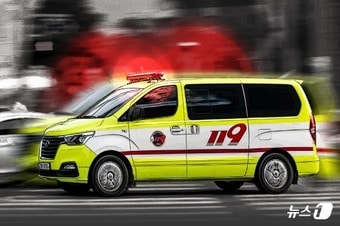 ⓒ 뉴스1
