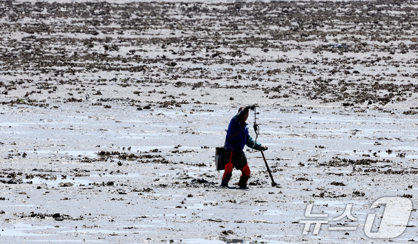 갯벌 2024.5.29 ⓒ 뉴스1 김태성 기자