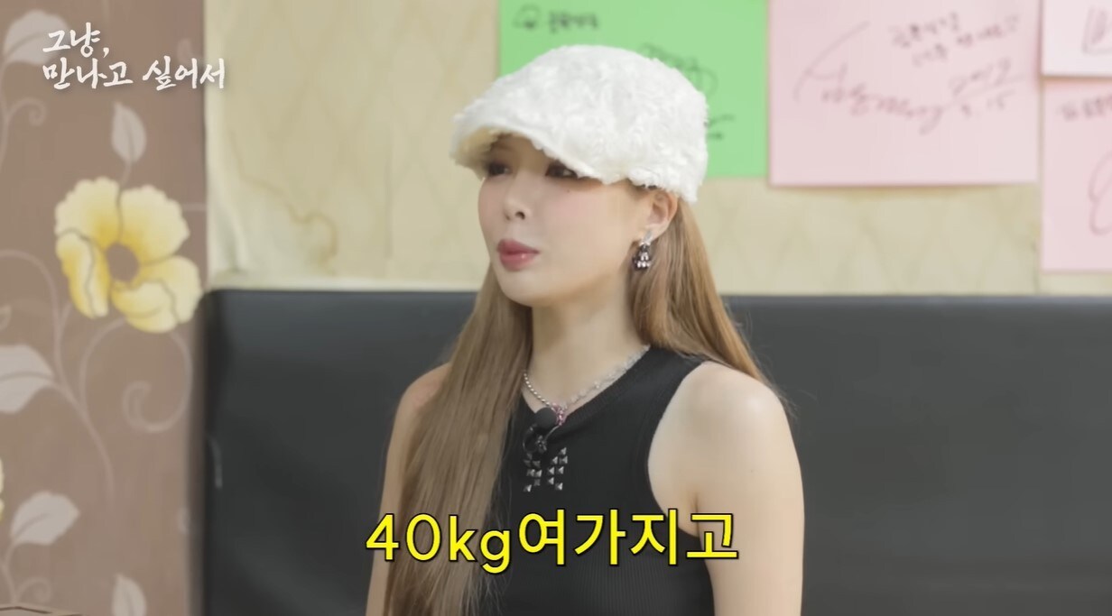 (유튜브 '시즌비시즌')