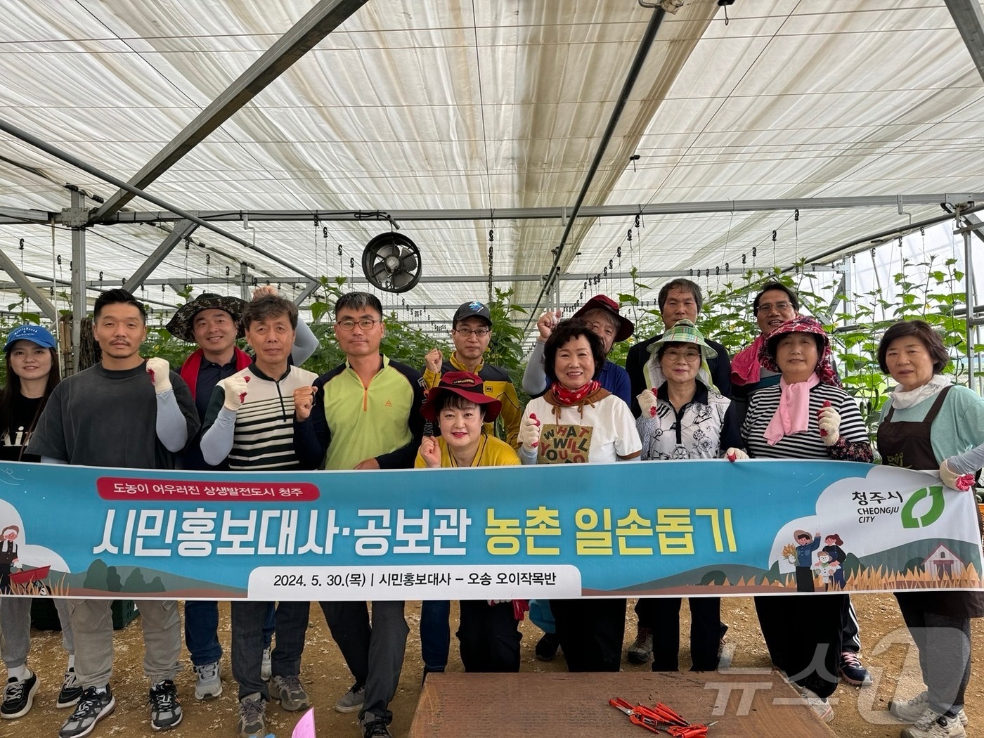 청주시 공보관과 시민 홍보대사들이 30일 흥덕구의 한 오이 농장을 찾아 농번기 일손을 보태며 구슬땀을 흘렸다.(청주시 제공).2024.5.30/뉴스1