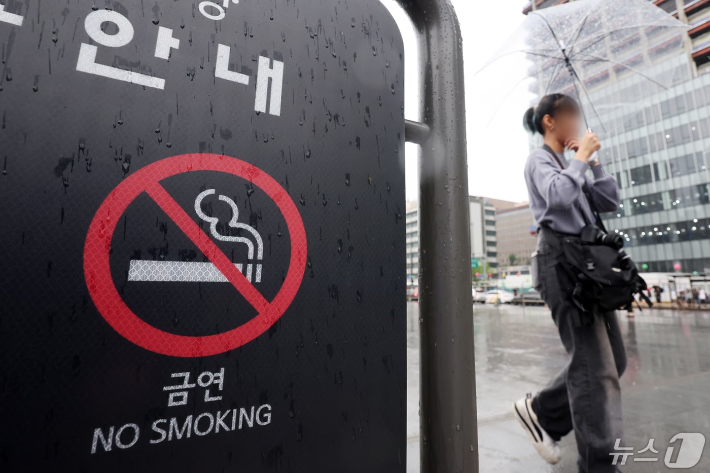서울 종로구 광화문광장 이용안내 게시판 금연 문구 2024.5.5/뉴스1 ⓒ News1