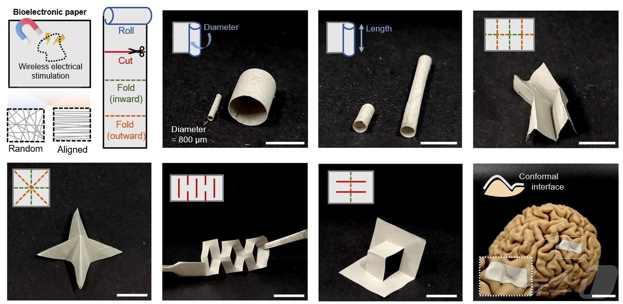 UNIST가 개발한 종이형 무선 전기자극 물질 디자인 예시. &#40;UNIST 제공&#41;