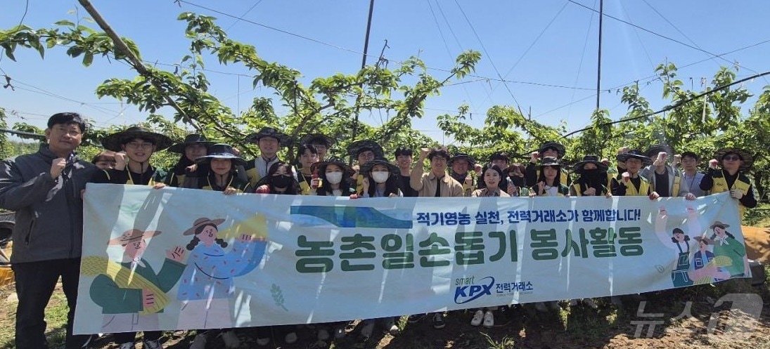 전력거래소는 9일 농번기를 맞은 나주의 한 배 농가를 찾아 열매솎기 봉사활동을 실시했다. ⓒ News1
