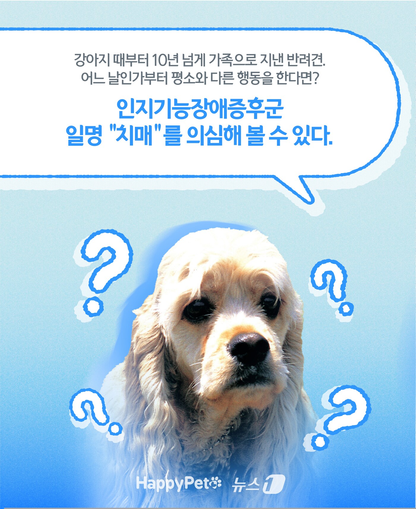 인지기능장애 펫카드 ⓒ 뉴스1