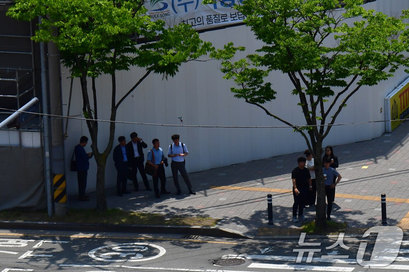 10일 경북 포항시청 앞 횡단보도 앞에서 시민들이 나무그늘 아래에서 신호를 기다리고 있다. 대구기상청은 이날 대구와 경산, 영천, 경주, 청도에 올들어 첫 폭염주의보를 발령했다. 2024.6.10/뉴스1 ⓒ News1 최창호 기자