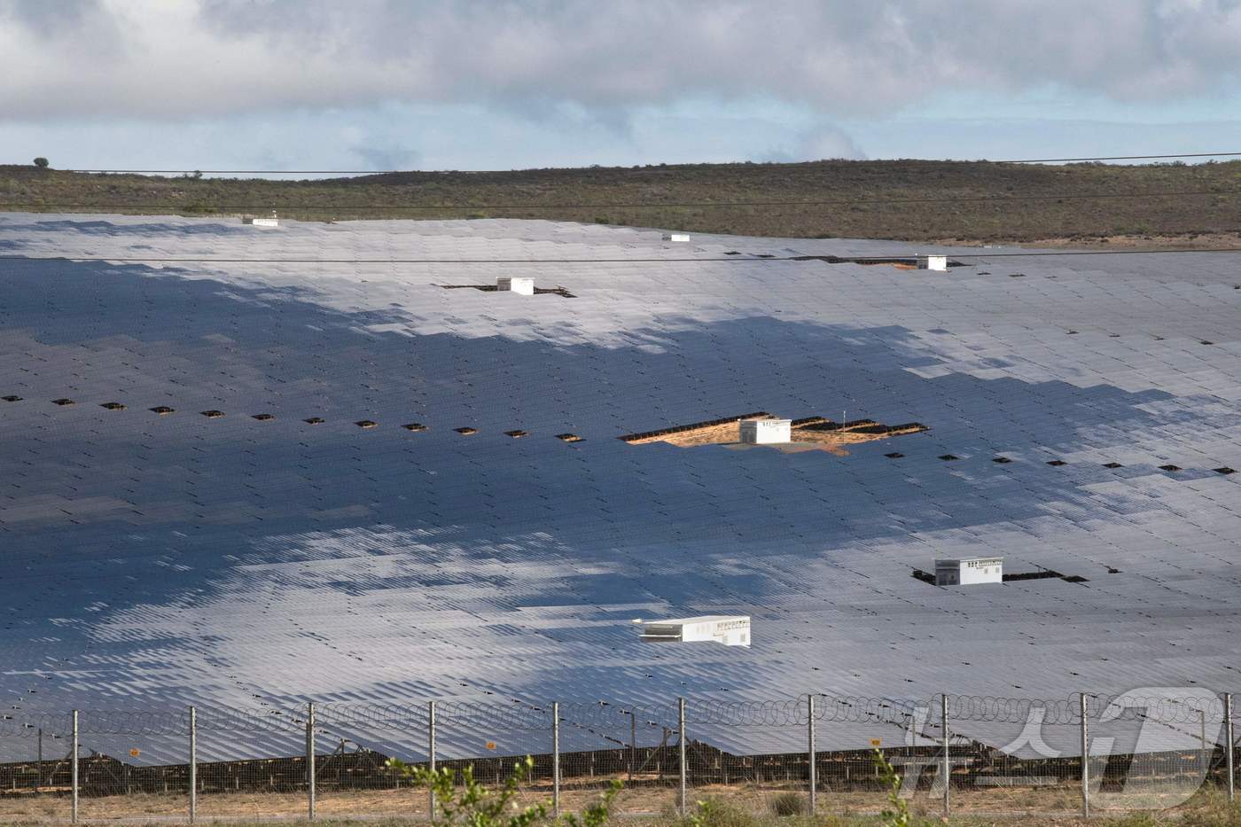 남아프리카 공화국 웨스턴케이프주 시트러스달 소재 태양광 발전소 모습.  사진은 기사와 무관함. ⓒ AFP=뉴스1 ⓒ News1 김성식기자