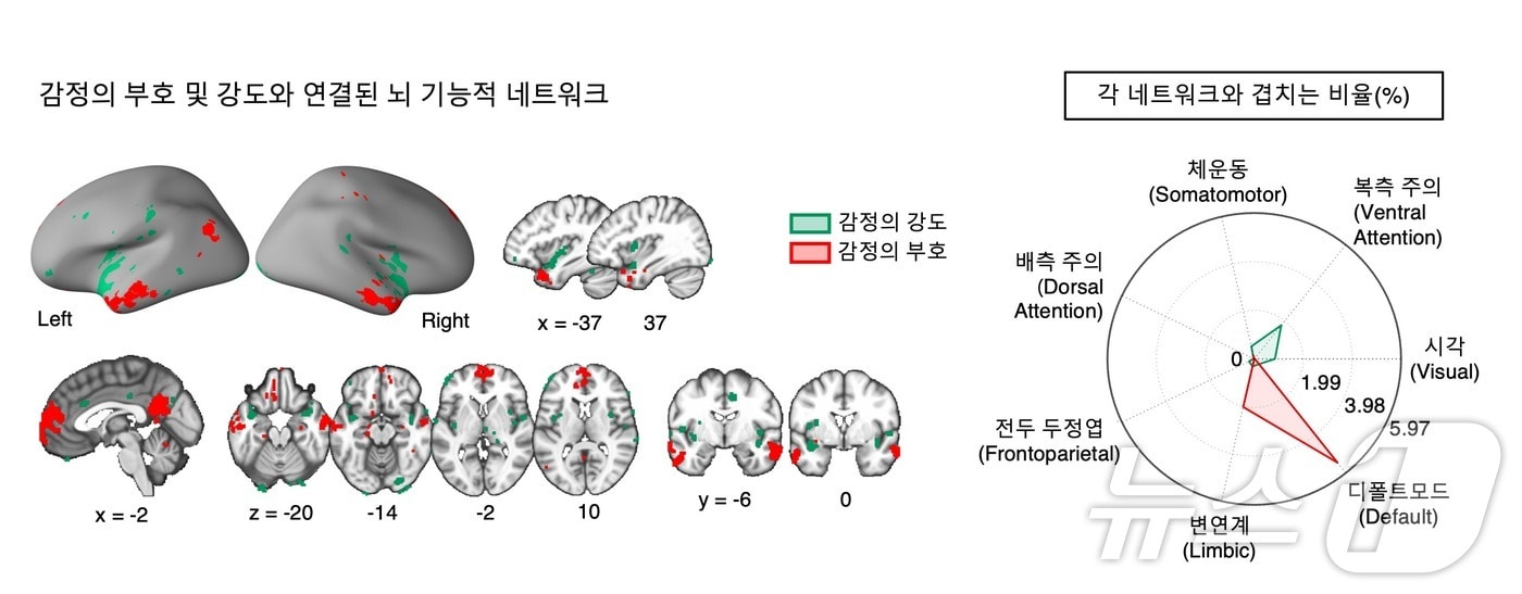 감정의 부호 및 강도와 연결된 뇌 기능적 네트워크.&#40;IBS 제공&#41;/뉴스1