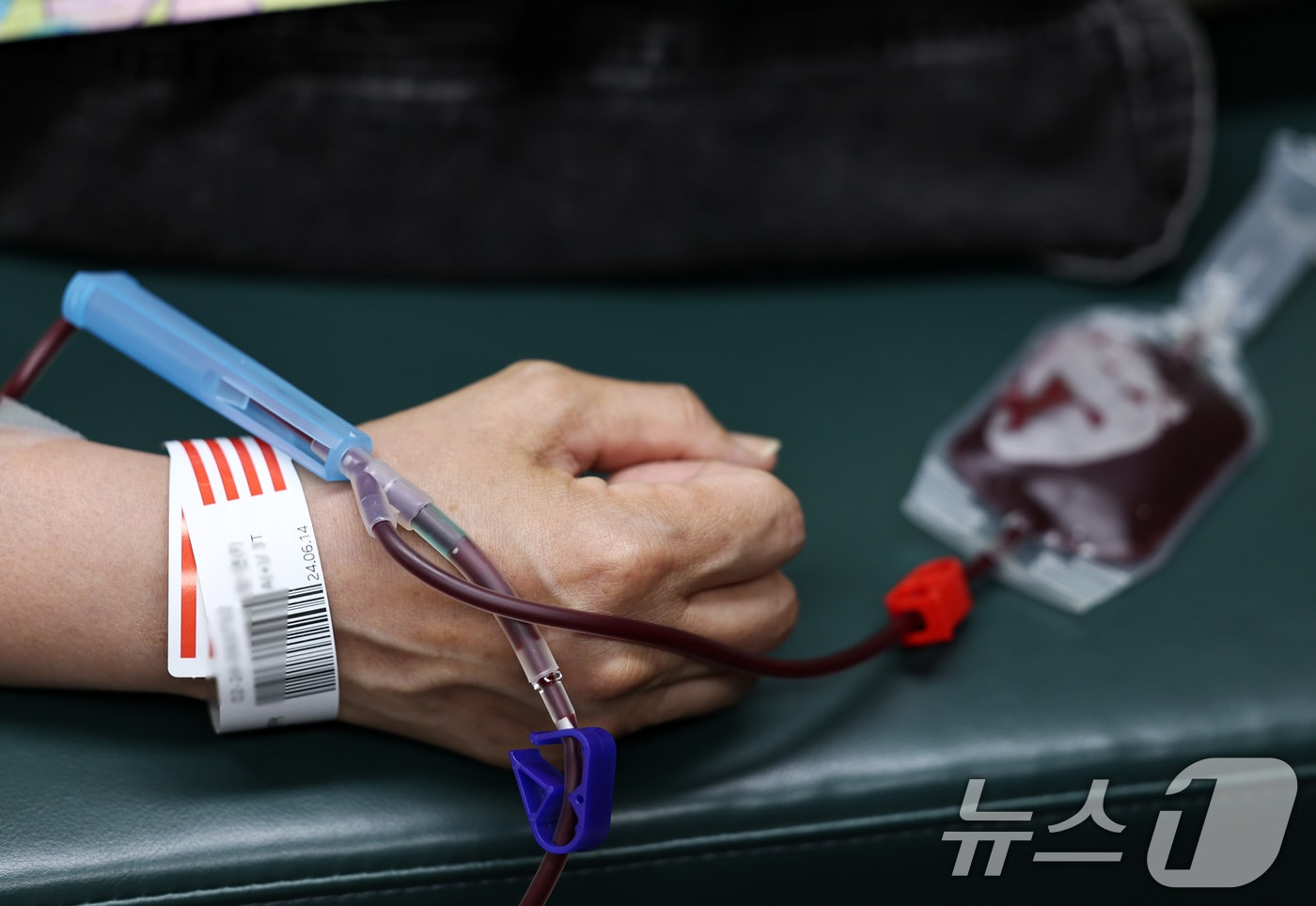 (사진은 기사 내용과 무관함) / 뉴스1 ⓒ News1