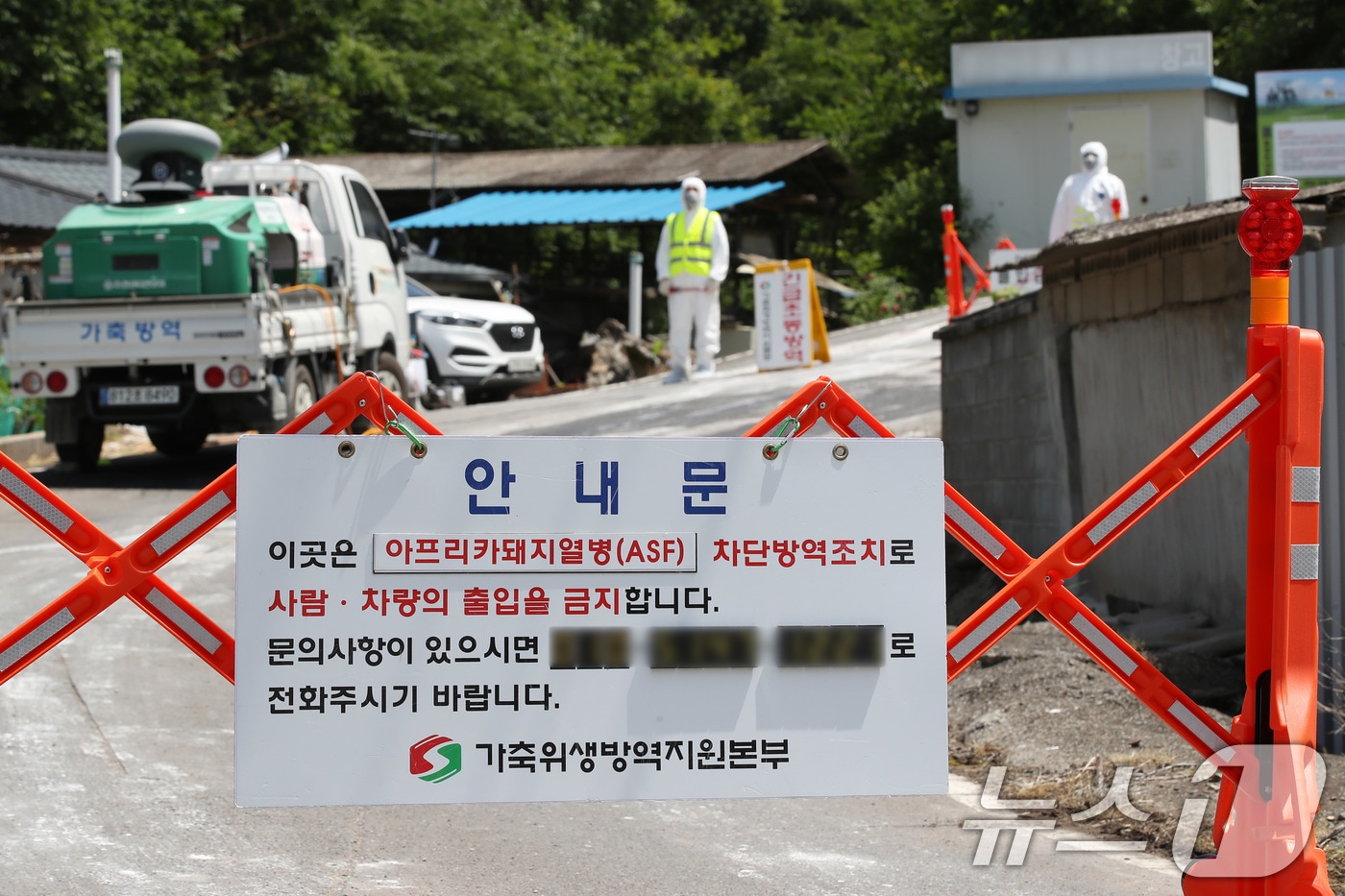 경북 영천시 화남면에 있는 대규모 돼지 사육농장에서 아프리카돼지열병(ASF)이 발생한 가운데 16일 가축위생방역지원본부 관계자들이 농장으로 향하는 길목을 차단한 채 출입을 통제하고 있다.  2024.6.16 ⓒ 뉴스1 공정식 기자