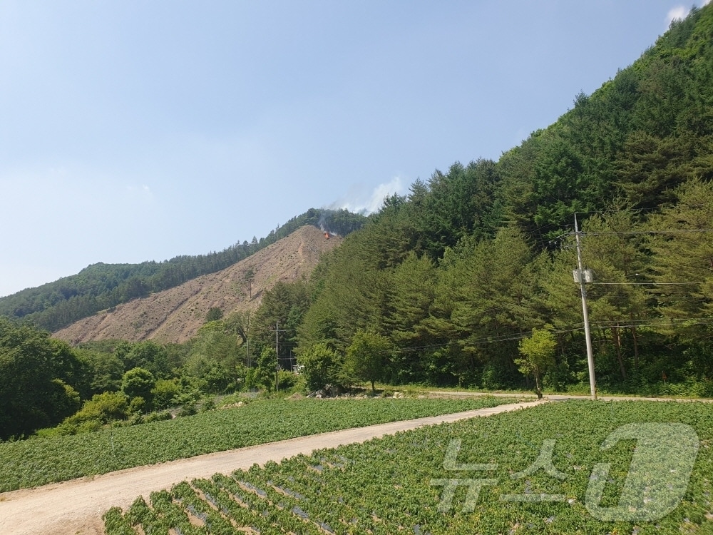 평창 진부면 산불 현장.&#40;산림청 제공&#41;